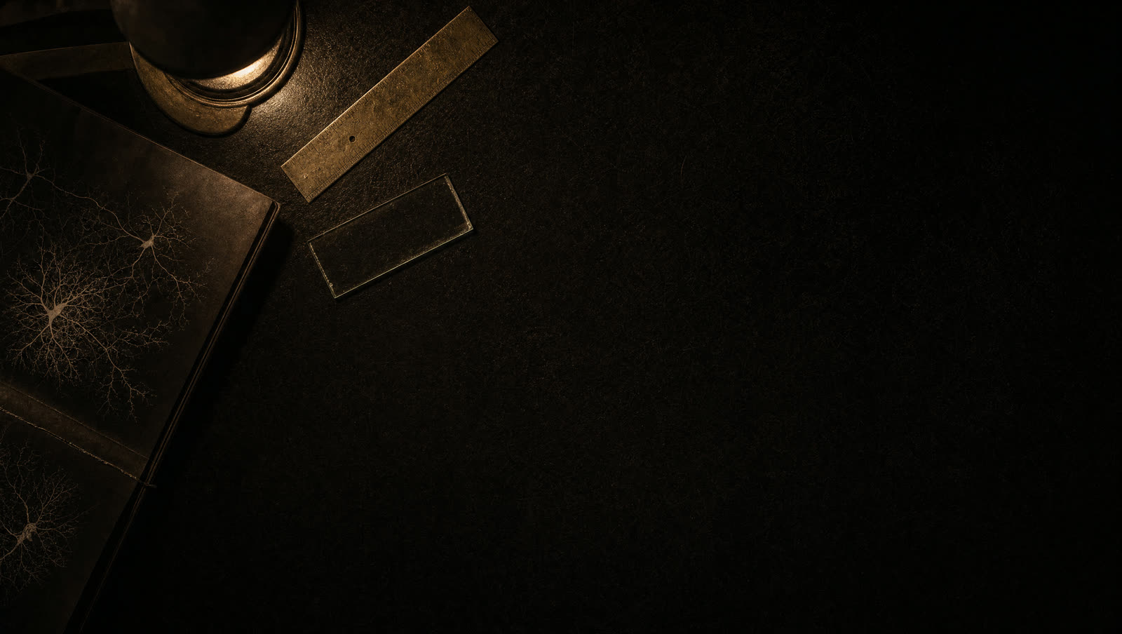 A microscope slide, a brass rule and a lens on a dark bench, lit by a single lamp.